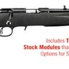 Ruger American Rimfire Standard 22